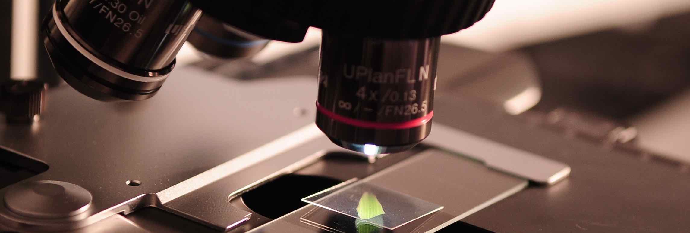 Biofluids and cardiovascular mechanics research imagery