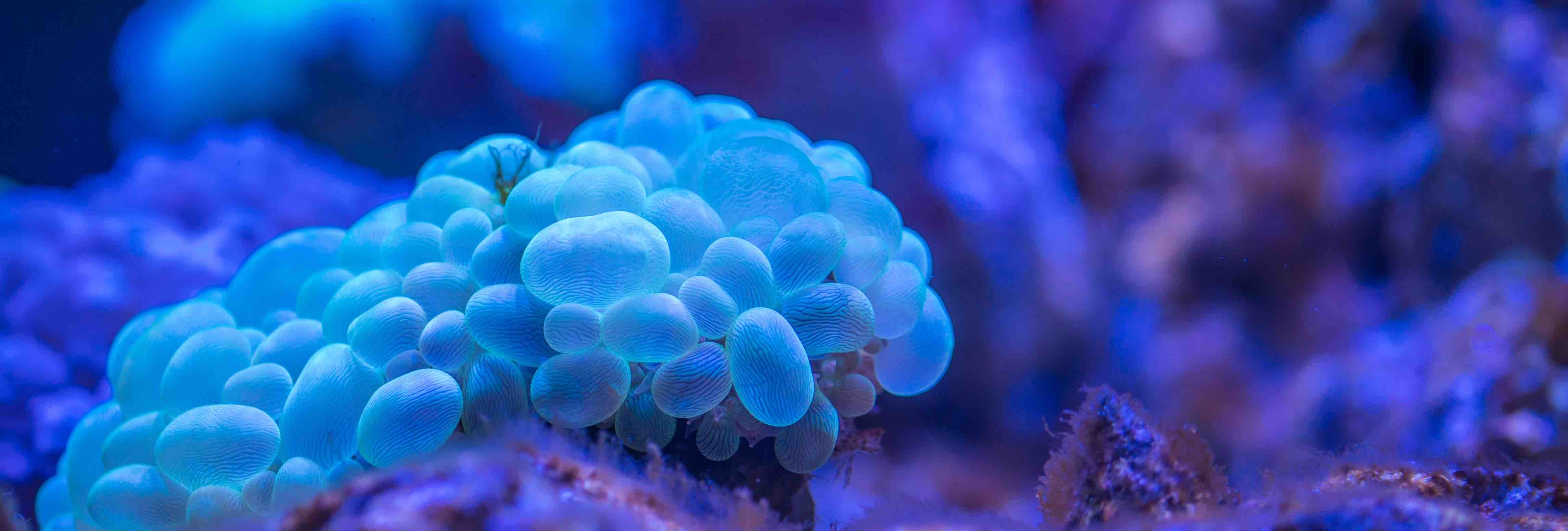 Research imagery from the laboratory