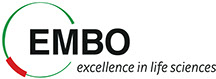 European Molecular Biology Organization