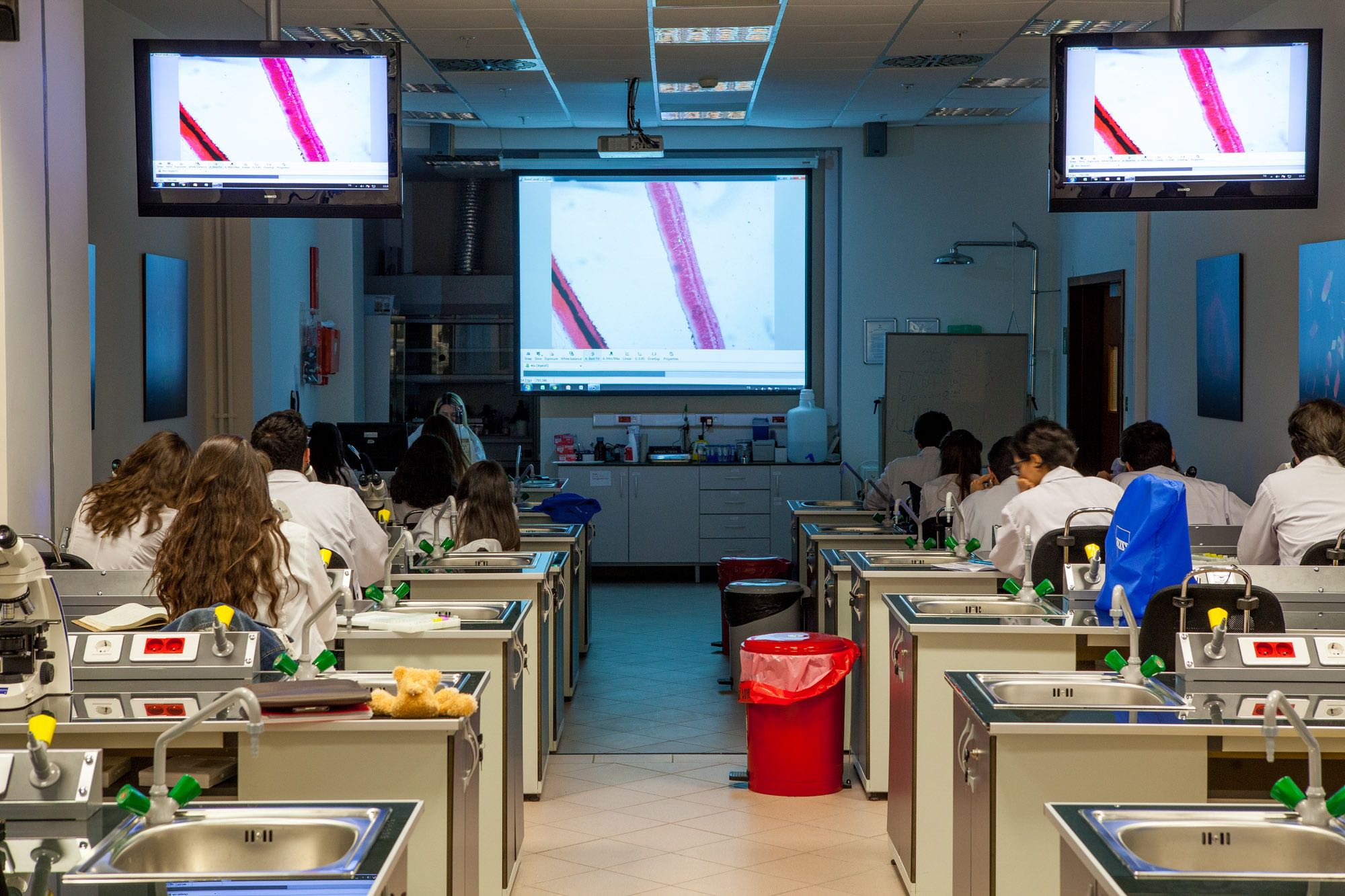Students attending a laboratory demonstration with microscopy images on classroom screens